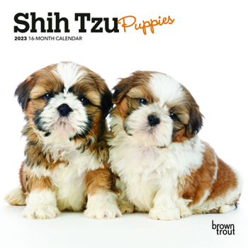 Calendar Shih Tzu Puppies 2023 Mini 7x7 Book