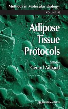 Hardcover Adipose Tissue Protocols (Methods in Molecular Biology) Book