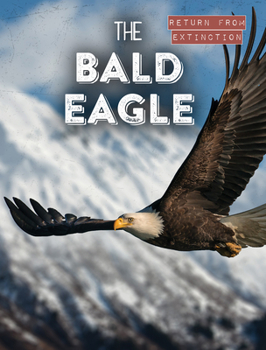 Paperback The Bald Eagle Book