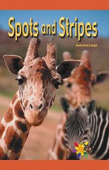 Paperback Spots & Stripes Book