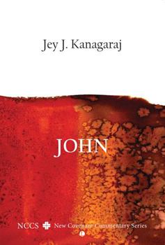 Paperback John: A New Covenant Commentary Book