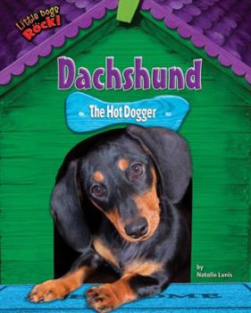 Dachshund: The Hot Dogger (Little Dogs Rock!) - Book  of the Little Dogs Rock!
