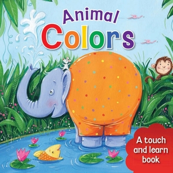 Board book Animal Colors Book