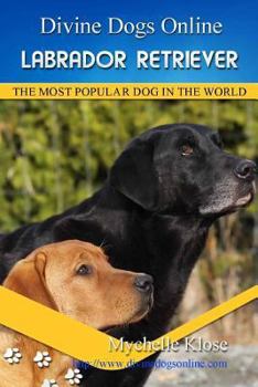 Paperback Labrador Retrievers: Divine Dogs Online Book