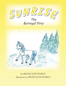 Paperback Sunrise the Barnegat Pony Book