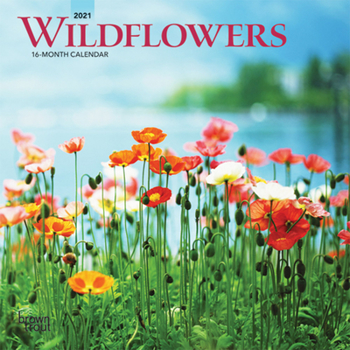 Calendar Wildflowers 2021 Mini 7x7 Book
