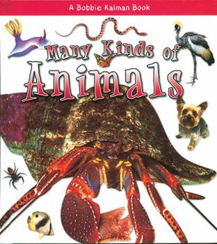 Hardcover Many Kinds of Animals Book