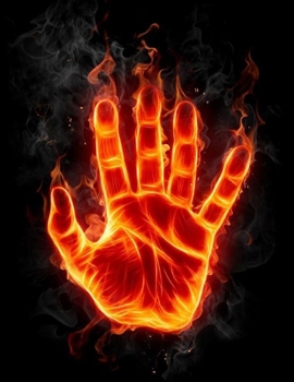 Paperback The Mortal Nelson Fire Book
