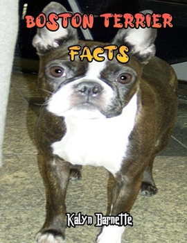 BOSTON TERRIER FACTS: BOSTON TERRIER fact for girl age 1-10 BOSTON TERRIER fact for boy age 1-10 facts about all about BOSTON TERRIER