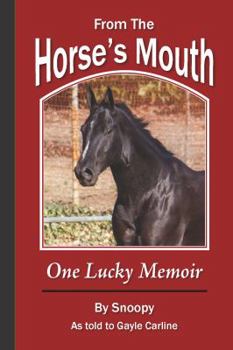 From the Horse's Mouth: One Lucky Memoir