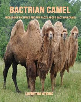 Paperback Bactrian Camel: Incredible Pictures and Fun Facts about Bactrian Camel Book