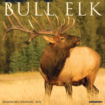 Calendar Bull Elk 2022 Wall Calendar Book