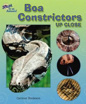 Boa Constrictors Up Close (Zoom in on Animals!) - Book  of the Zoom In on Animals!