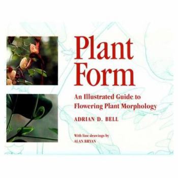 Paperback Plant Form: An Illustrated Guide to Flowering Plant Morphology Book