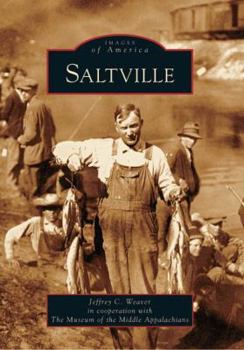 Paperback Saltville Book