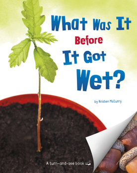 Paperback What Was It Before It Got Wet? Book