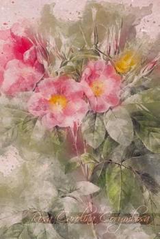 Paperback Rosa Carolina Corymbosa: Floral Notebook with Flower Illustrations on Every Page Book