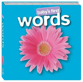 Board book Baby's First Words Book