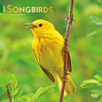 Songbirds 2027 12 X 24 Inch (Hanging) Monthly Square Wall Calendar Foil Stamped Cover Plastic-Free