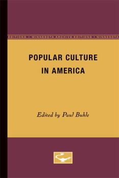 Paperback Popular Culture in America Book