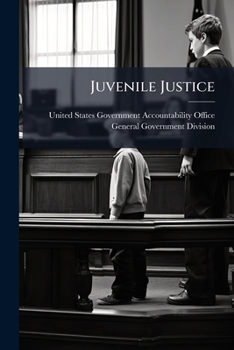 Paperback Juvenile Justice: Minimal Gender Bias Occurred in Processing Noncriminal Juveniles Book
