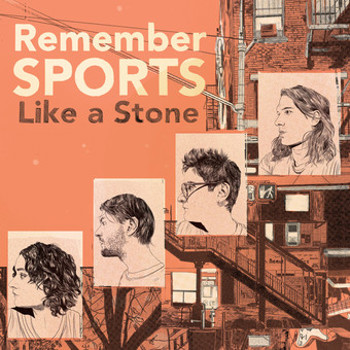Vinyl Like A Stone  Ie Book