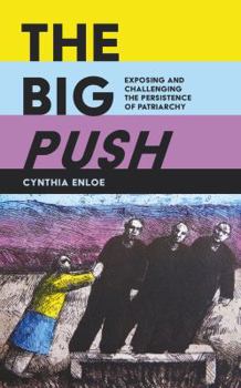 Paperback The Big Push: Exposing and Challenging the Persistence of Patriarchy Book
