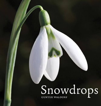 Hardcover Snowdrops Book