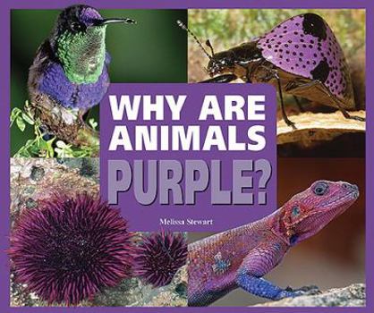 Why Are Animals Purple? (Rainbow of Animals) - Book  of the Rainbow of Animals