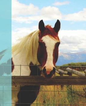 Pretty Horse Rocky Mountain Animal Photograph Painted Pony Wide-ruled Lined School Composition Notebook