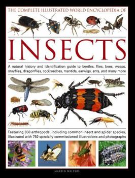 Hardcover The Complete Illustrated World Encyclopedia of Insects: A Natural History and Identification Guide to Beetles, Flies, Bees, Wasps, Mayflies, Dragonfli Book