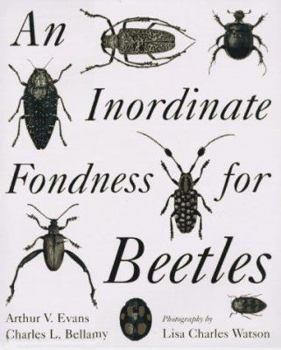 Hardcover Inordinate Fondness for Beetles Book