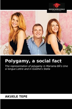 Paperback Polygamy, a social fact Book