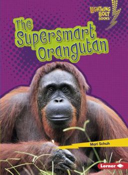 Paperback The Supersmart Orangutan Book