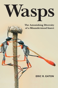 Hardcover Wasps: The Astonishing Diversity of a Misunderstood Insect Book