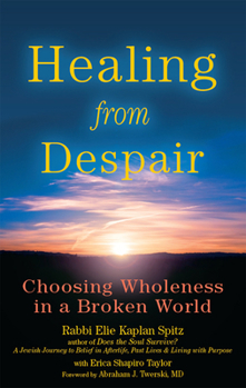 Paperback Healing from Despair: Choosing Wholeness in a Broken World Book