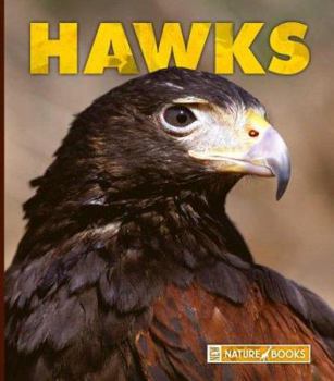 Library Binding Hawks Book