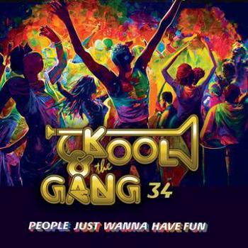 Vinyl People Just Wanna Have Fun Book
