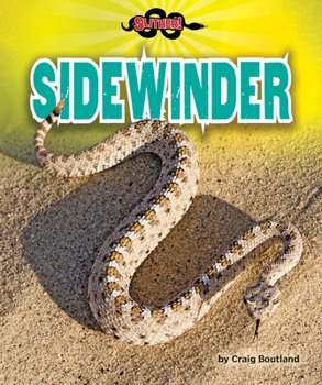 Library Binding Sidewinder Book