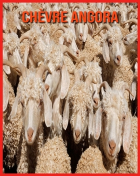Ch?vre Angora: Informations Int?ressantes Concernant les Ch?vre Angora