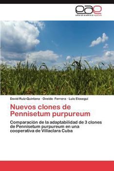 Paperback Nuevos clones de Pennisetum purpureum [Spanish] Book