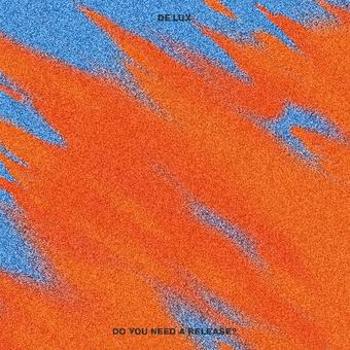 Vinyl Do You Need A Release? Book