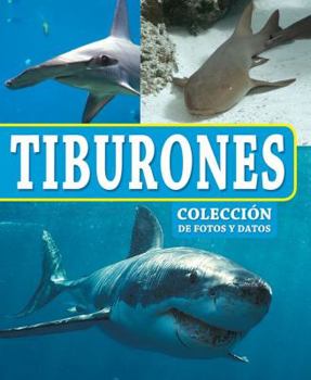 Hardcover Tiburones [Spanish] Book