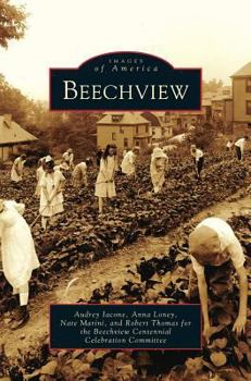 Hardcover Beechview Book