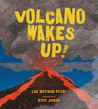 Paperback Volcano Wakes Up! Book