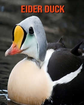 Paperback Eider Duck: Amazing Photos & Fun Facts Book About Eider Duck For Kids Book