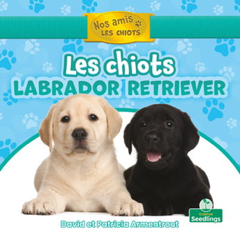 Paperback Les Chiots Labrador Retriever (Labrador Retriever Puppies) [French] Book