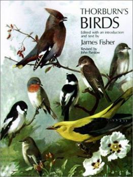 Paperback Thorburn's Birds Book