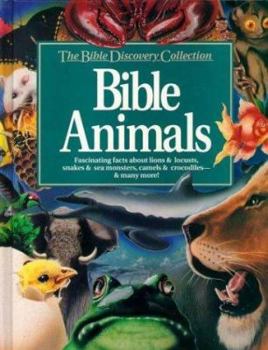 Hardcover Bible Animals Book