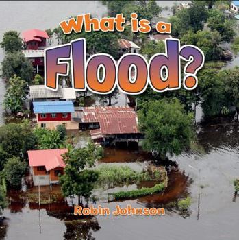 Library Binding What Is a Flood? Book
